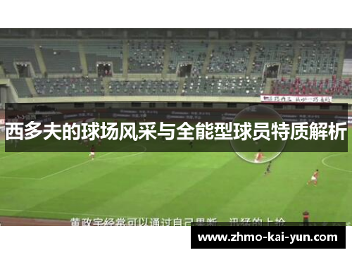 西多夫的球场风采与全能型球员特质解析