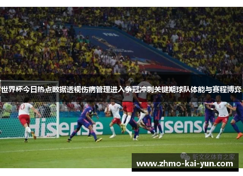 世界杯今日热点数据透视伤病管理进入争冠冲刺关键期球队体能与赛程博弈
